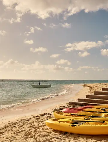 Kayak