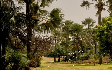 Cap Skirring au Sénégal