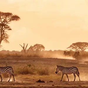 Voyage au Kenya en famille