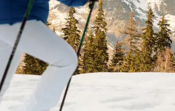 Snowshoe hikes