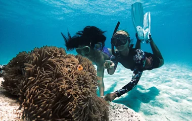 Plongée aux Maldives