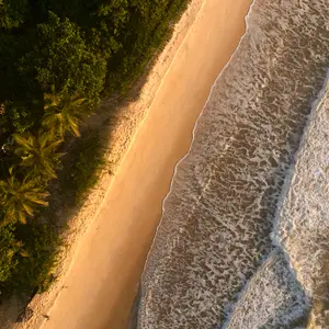 Natuur in Guyana en het Caribisch gebied