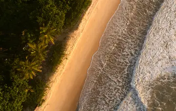 Nature in Guiana and the Caribbean