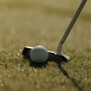 Golf Option Cruise