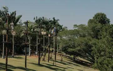 Treetop adventure