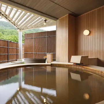 Traditional Japanese Onsen