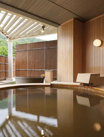 Traditional Japanese Onsen