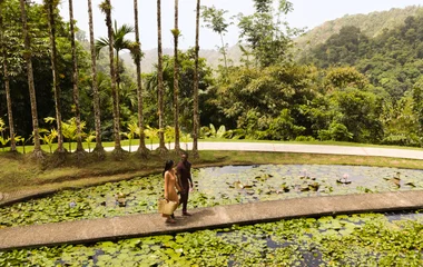 Pareja caminando entre la naturaleza.
