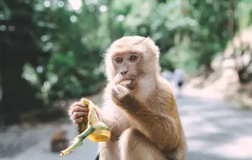 Escapade à Bali
