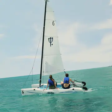 Voile