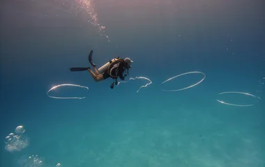 scuba diving with sea turtles