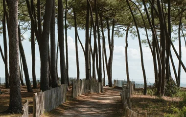 La Palmyre Atlantique