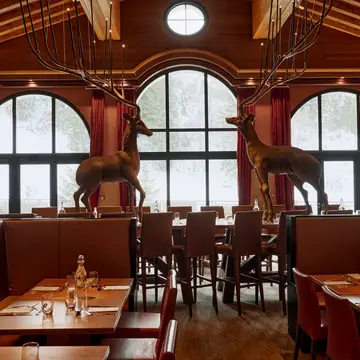 Restaurants & Bars