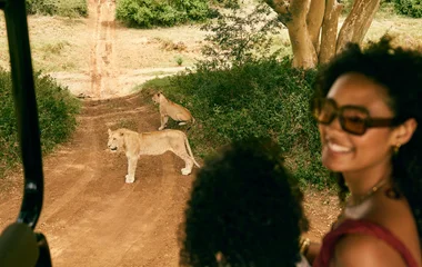 Safari vivant
