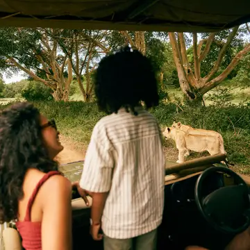 Safari