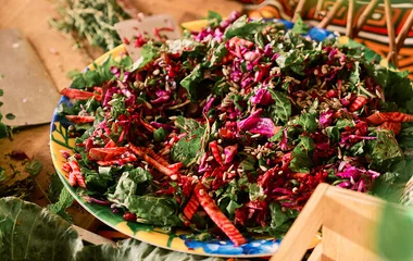 Gastronomia da africa