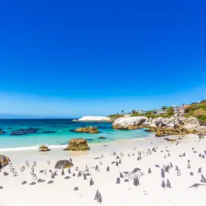 Que visiter en Afrique du Sud ?