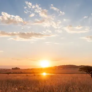 Quand partir en vacances en Afrique du Sud ?