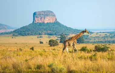 Afrique du Sud