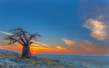 plage au Botswana
