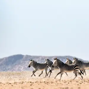 Que voir au Botswana ?