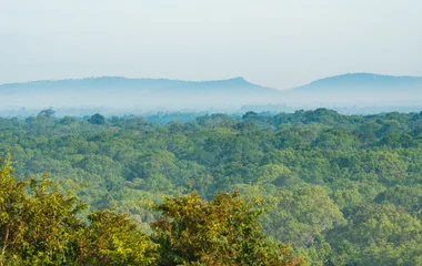 L'hiver est la période idéale