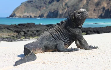 îles Galapagos en Équateur