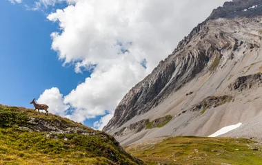 alpes montagnes été