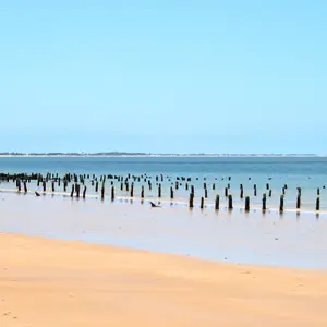 Les belles plages de La Palmyre
