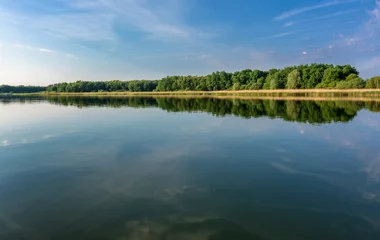 accrobranche à vittel