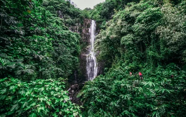 Guadeloupe Basse Terre