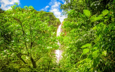 Guadeloupe Basse Terre