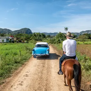 Monter à cheval en Guadeloupe