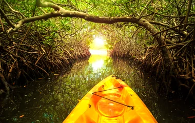 Guadeloupe Basse Terre