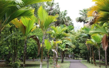 Estate australe: il periodo più caldo dell’anno a Mauritius