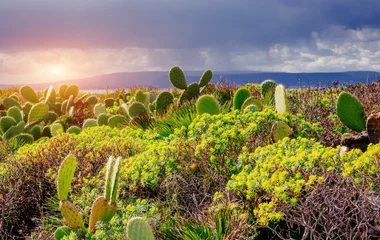 FÊTER NOËL EN SICILE