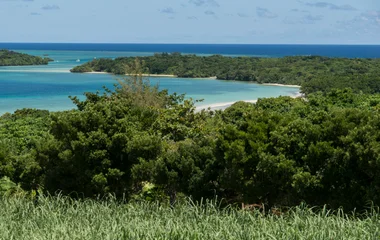Les paysages de l'île d'Ishigaki