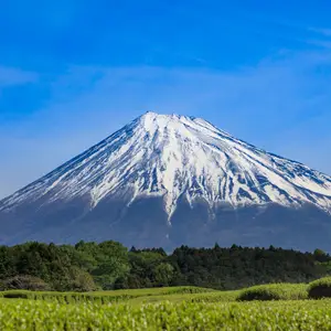 Où partir en Asie en mai