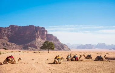 jordanie