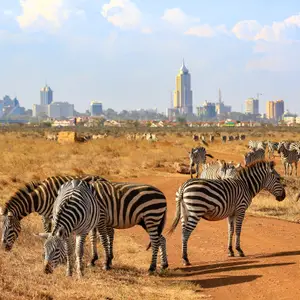 Que faire au Kenya ?