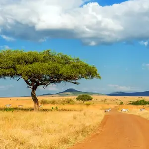 le climat au kenya