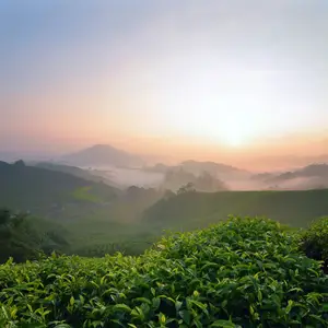 Où aller en Malaisie ?