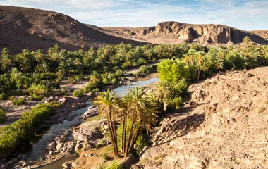 Le désert marocain est-il la destination idéale pour les passionnés de vélo ?