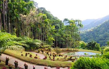 Martinique