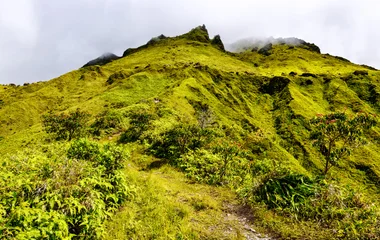 Quand partir en Martinique quand on veut profiter de la nature