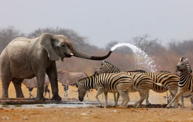 namibie