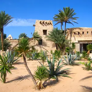 Que faire à Djerba ?