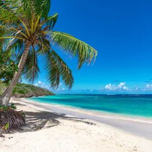 Que faire en 2 semaines en Guadeloupe ?