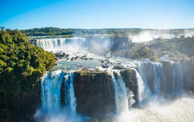argentine