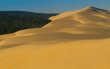 le bassin d'arcachon